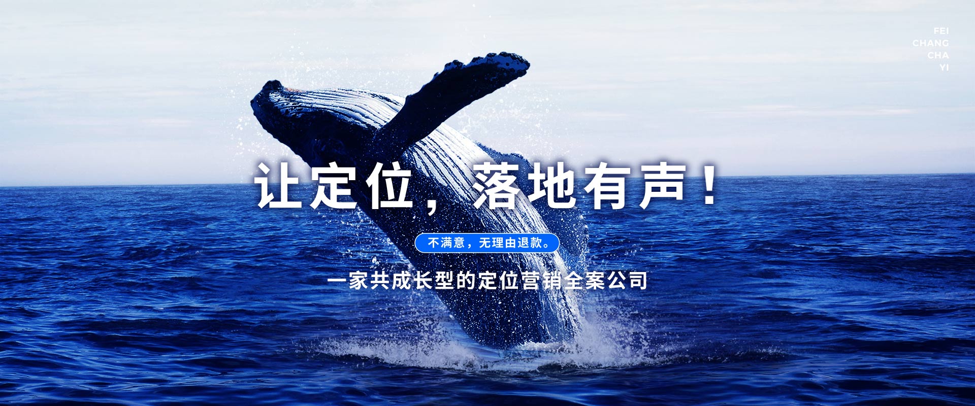 领导者+定位