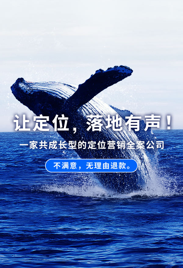 领导者+定位